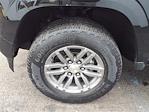 2023 Chevrolet Colorado Crew Cab 4WD Pickup for sale #U15173 - photo 8