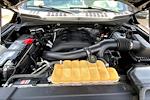 2016 Ford F-150 SuperCrew Cab 4WD Pickup for sale #PL08590A - photo 21