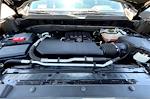 2023 Chevrolet Silverado 1500 Crew Cab 4x4 Pickup for sale #PV84764 - photo 20