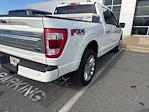 2023 Ford F-150 SuperCrew Cab 4WD Pickup for sale #T11337B - photo 2