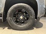 2019 Chevrolet Colorado Crew Cab 4WD Pickup for sale #CSF260119A - photo 15