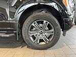 2022 Ford F-150 SuperCrew Cab 4x4 Pickup for sale #CSS251181A - photo 10