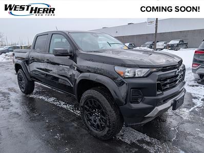 2024 Chevrolet Colorado Crew Cab 4WD Pickup for sale #CSS260724A - photo 1