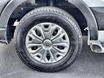 2024 Ford Transit 250 Low Roof RWD Empty Cargo Van for sale #BP03669 - photo 15