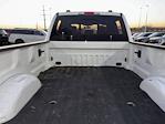 2020 Ford F-350 Crew Cab SRW 4WD Pickup for sale #SD25217 - photo 27
