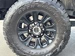2020 Ford F-250 Crew Cab 4x4 Pickup for sale #SEC34172B - photo 16