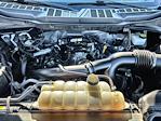 2022 Ford F-150 SuperCrew Cab RWD Pickup for sale #SED81903A - photo 29