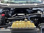 2019 Ford F-150 SuperCrew Cab 4x2 Pickup for sale #SED81922A - photo 31