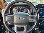 2022 Ford F-150 SuperCrew Cab 4WD Pickup for sale #SED87254A - photo 19