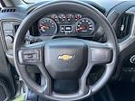 2023 Chevrolet Silverado 1500 Crew Cab RWD Pickup for sale #SED91457B - photo 19