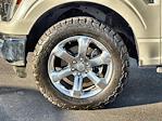 2023 Ford F-150 SuperCrew Cab 4WD Pickup for sale #SED92041A - photo 15