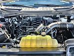 2024 Ford F-150 SuperCrew Cab 4WD Pickup for sale #SEE02404A - photo 29