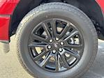 2025 Ford F-150 SuperCrew Cab 4x4 Pickup for sale #SFA04284A - photo 16