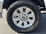 2017 Ford F-250 Crew Cab 4x4 Pickup for sale #SFB42481B - photo 16