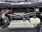 2021 Ford F-150 SuperCrew Cab 4WD Pickup for sale #SFC03412B - photo 1