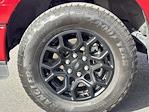 2024 Ford F-150 SuperCrew Cab 4WD Pickup for sale #SFC12146A - photo 15