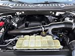 2019 Ford F-150 SuperCrew Cab 4WD Pickup for sale #SFB05950A - photo 31