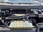 2025 Ford F-150 SuperCrew Cab 4x4 Pickup for sale #SGB97998A - photo 31