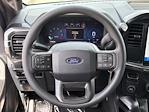 2025 Ford F-150 SuperCrew Cab 4x2 Pickup for sale #SKD45350 - photo 10