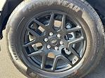 2024 Ford F-150 SuperCrew Cab RWD Pickup for sale #SKD91034A - photo 16