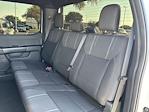 2024 Ford F-150 SuperCrew Cab RWD Pickup for sale #SKD91034A - photo 27