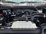 Used 2024 Ford F-150 STX SuperCrew Cab Pickup for sale #SKE02655A - photo 30