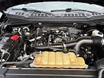 2020 Ford F-150 SuperCrew Cab 4x2 Pickup for sale #SKE30486A - photo 29