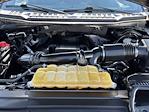 2017 Ford F-150 SuperCrew Cab 4WD Pickup for sale #SKE45338A - photo 31