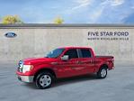 2009 Ford F-150 SuperCrew Cab 4x2 Pickup for sale #SKE48474B - photo 6
