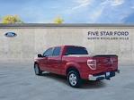 2009 Ford F-150 SuperCrew Cab 4x2 Pickup for sale #SKE48474B - photo 8