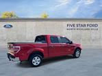 2009 Ford F-150 SuperCrew Cab 4x2 Pickup for sale #SKE48474B - photo 2