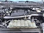 2023 Ford F-150 SuperCrew Cab 4WD Pickup for sale #TEC78581A - photo 30