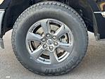 2020 Ford F-150 SuperCrew Cab 4WD Pickup for sale #TED12787A - photo 15