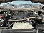 2023 Ford F-150 SuperCrew Cab 4WD Pickup for sale #TED14396A - photo 31