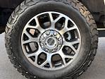 2021 Ford F-350 Crew Cab SRW 4WD Pickup for sale #TED31826A - photo 14
