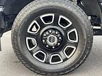 Used 2024 Ford F-250 Platinum Crew Cab for sale #TED47462A - photo 15