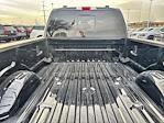 Used 2024 Ford F-250 Platinum Crew Cab for sale #TED47462A - photo 29
