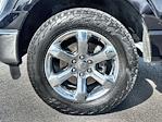 2021 Ford F-150 SuperCrew Cab 4WD Pickup for sale #TED47462B - photo 15