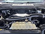 2021 Ford F-150 SuperCrew Cab 4WD Pickup for sale #TED47462B - photo 31
