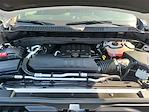 2024 Chevrolet Silverado 1500 Crew Cab 4x4 Pickup for sale #11524 - photo 22