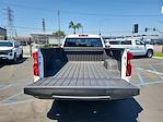 2025 Chevrolet Silverado 1500 Regular Cab 4x2 Pickup for sale #250709 - photo 18