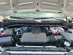 2025 Chevrolet Silverado 1500 Regular Cab 4x2 Pickup for sale #250709 - photo 22