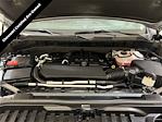 2024 Chevrolet Silverado 1500 Crew Cab RWD Pickup for sale #53405 - photo 27