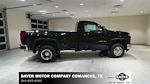 2025 Chevrolet Silverado 3500 Regular Cab 4x4, Pickup for sale #53634 - photo 3