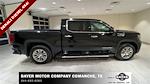 2020 GMC Sierra 1500 Crew Cab 4WD, Pickup for sale #53817 - photo 4