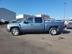 2009 Chevrolet Silverado 1500 Crew Cab 4x2, Pickup for sale #D1902 - photo 2