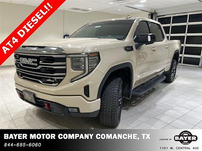 2022 GMC Sierra 1500 Crew Cab 4x4 Pickup for sale #54470 - photo 1
