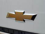 2024 Chevrolet LCF 4500HD Regular Cab RWD Cab Chassis for sale #16860 - photo 4
