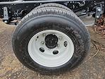 2024 Chevrolet LCF 4500HD Regular Cab RWD Cab Chassis for sale #16902 - photo 3