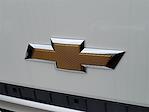 2024 Chevrolet LCF 4500HD Regular Cab RWD Cab Chassis for sale #16902 - photo 4
